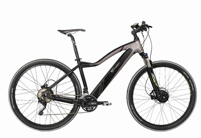 電動助力自行車的前世今生（下） 創新、爭議與未來之路